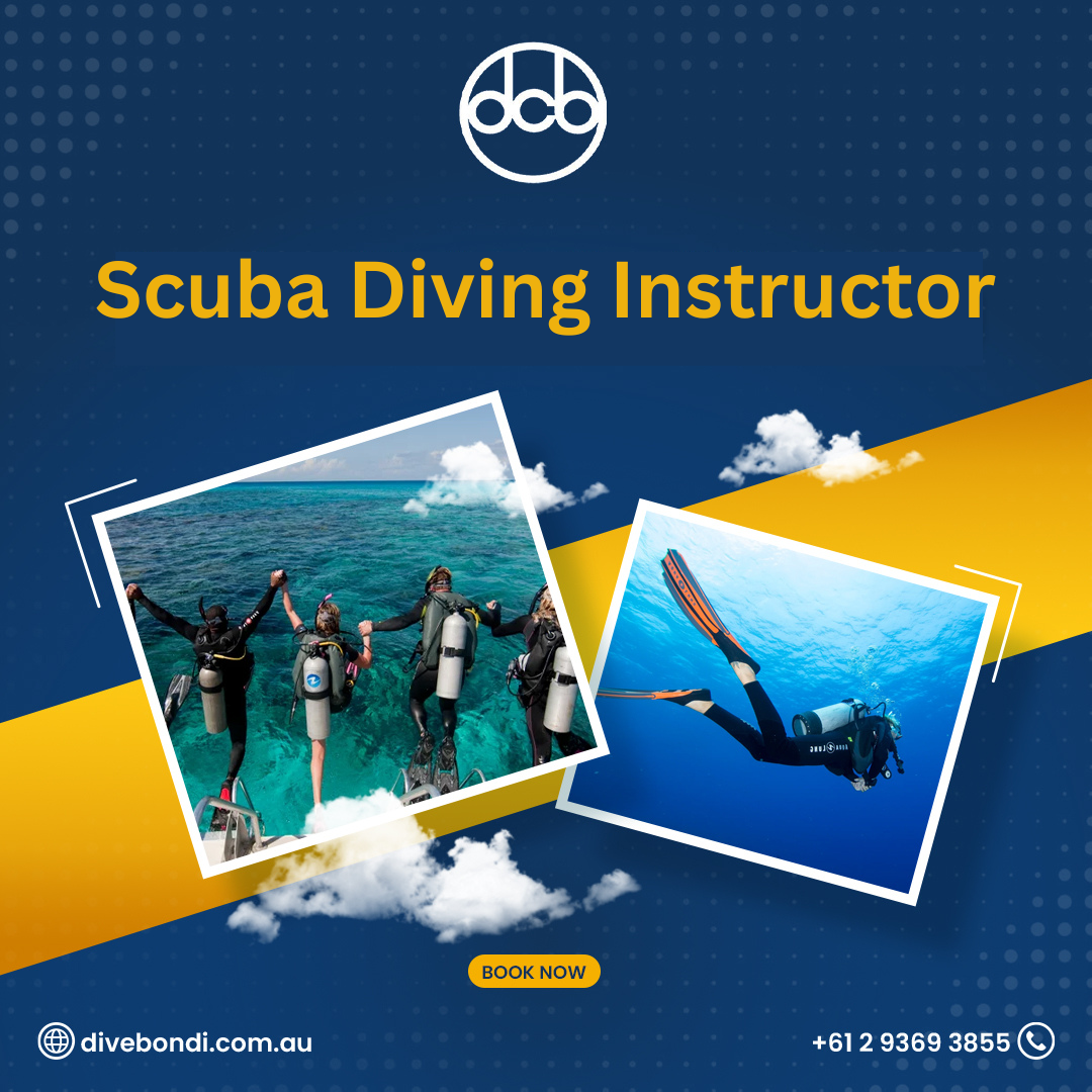 A Comprehensive Guide to Diving Sydney And Scuba Diving by Dive
