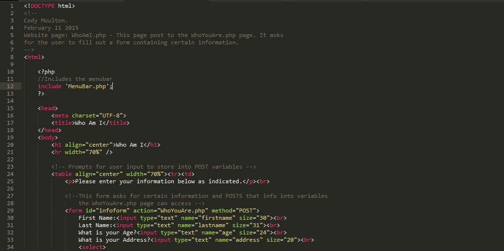 Please Build Responsively. If I were to ask any web developer how… by Cody Moulton Portfolio