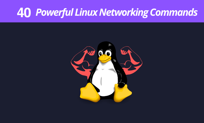 40 Powerful Linux Networking Commands You Must Know.