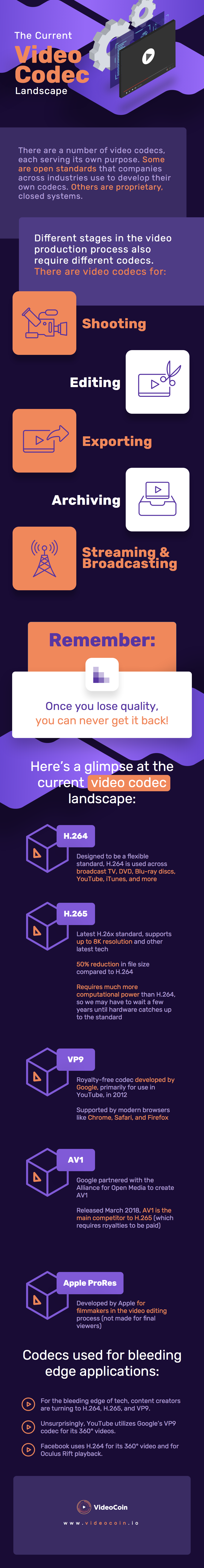 The Current Video Codec Landscape [Infographic]