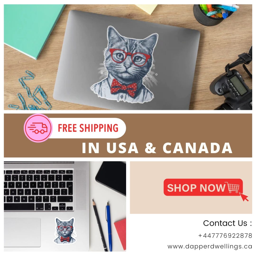 Adorable Cute Cat Themed Clothes That Will Make Your Heart Melt