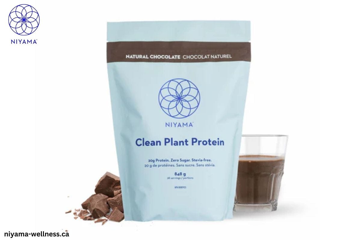 The Best Tasting PlantBased Protein Powder Why Niyama Wellness Stands Out by Niyama Wellness
