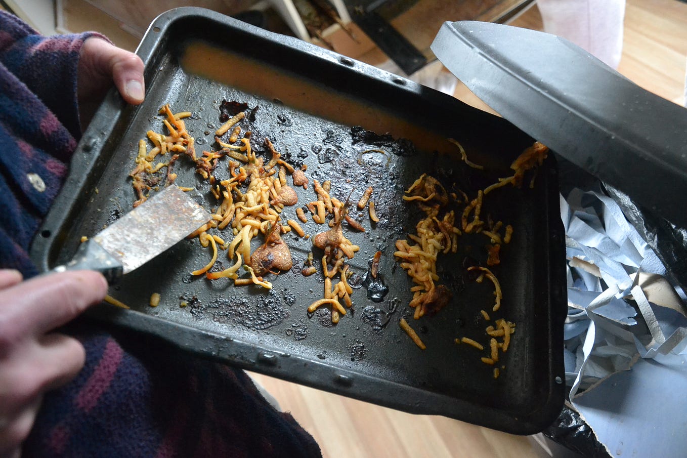 Oh yes, I blame the agent as much as the tenant. The reason for the