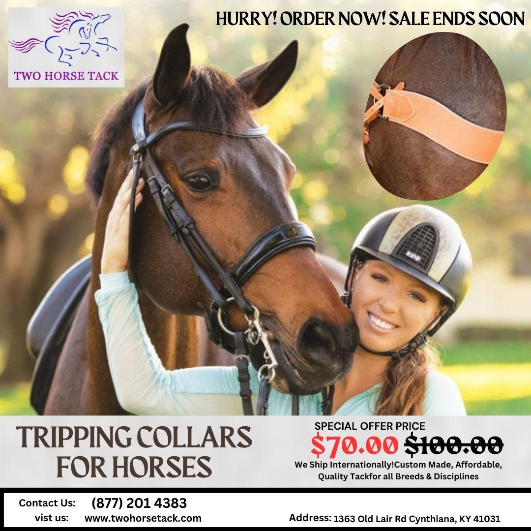 Choosing the Right Tripping Collar for Your Horse Twohorsetack Two