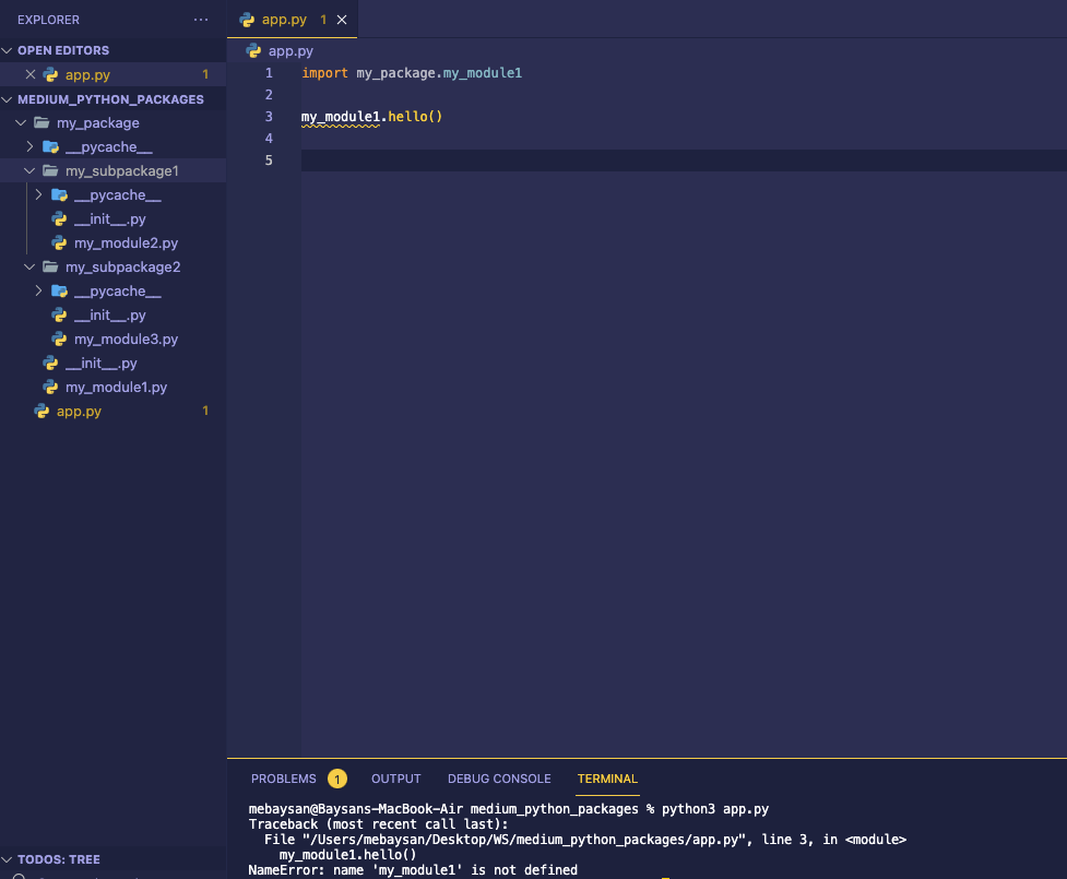 Customer Life Time Value Prediction by Using BG-NBD & Gamma-Gamma ...