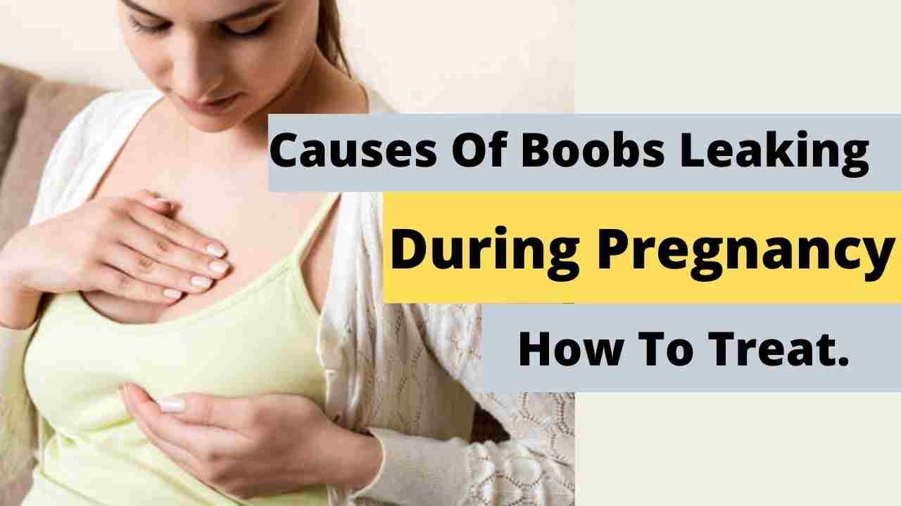 Help! My Breasts Are Leaking During Pregnancy (2nd Trimester) — Milkology®