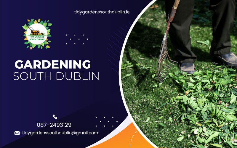 Hedge trimming why is it important? by Tidy gardens Medium