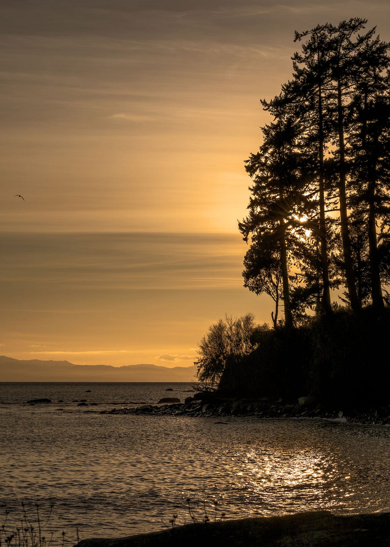 What I Saw vs What I Felt. On my drive to Cameron Lake in Waterton… by Terrill Bodner Jun