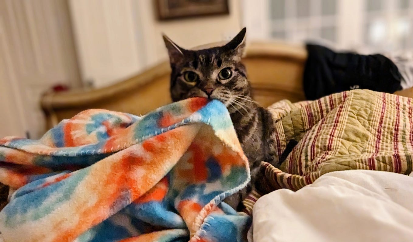 Thank you, ma'am. Nina Sklansky Medium