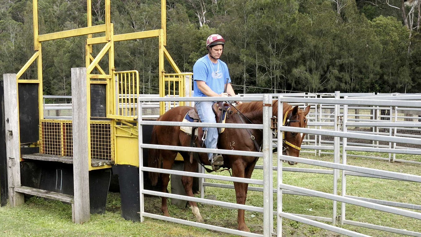 Muskoka Farm — World Class Thoroughbred Horse Training NSW by Muskoka
