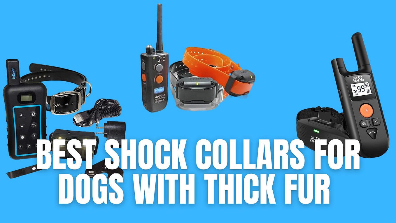 Top 10 Best Shock Collar For Australian Shepherd to buy in 2022 by Mypetdoggie Medium