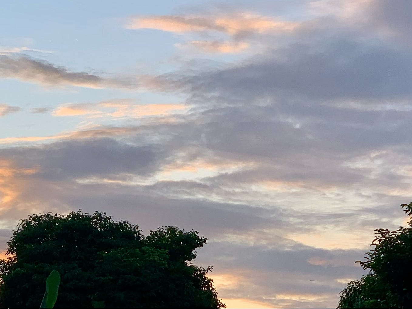 A Tale of Three Snorers — Part One, Denial. “You were snoring last