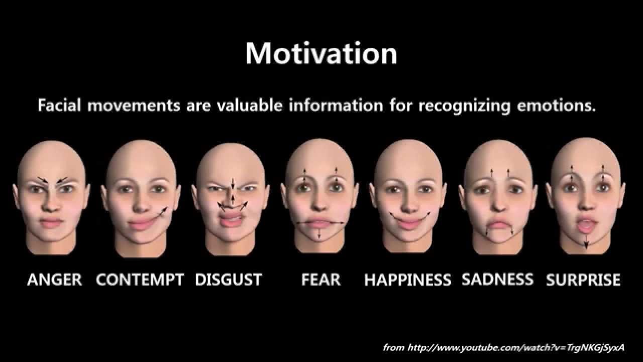 Facial Expression Recognition. Emotion recognition is the process