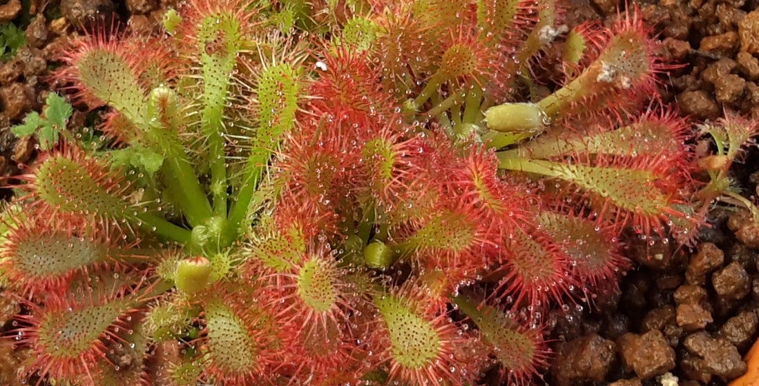 個人建議. 先使用"device_lib.list_local_devices()"確認Te… by Yalebin Lin Medium