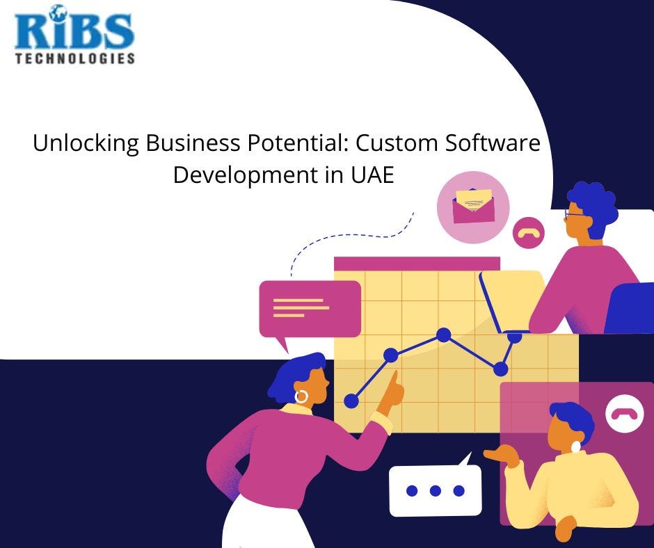 Enhancing Customer Experience and Efficiency: The Role of Custom ...