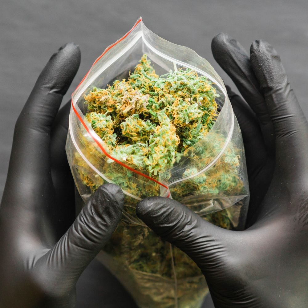 Discover the Best Weed Dispensary in Woodland Hills by Vault