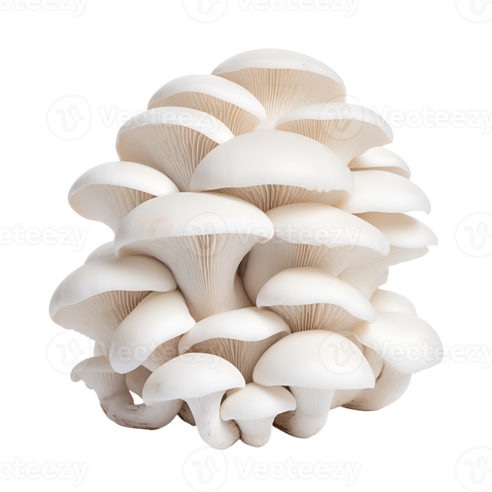 The 10-year survival rate is 10% to 15%. This rate is higher if the