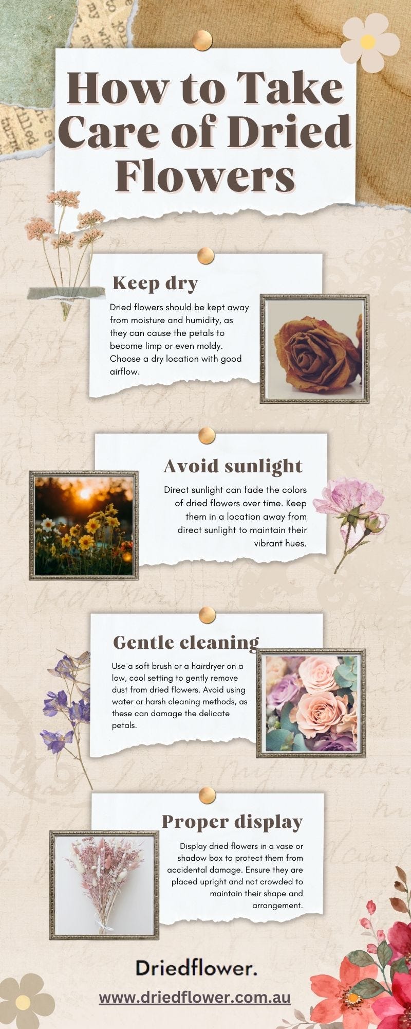 Dried Flower Delivery Dried Flower Delivery Medium