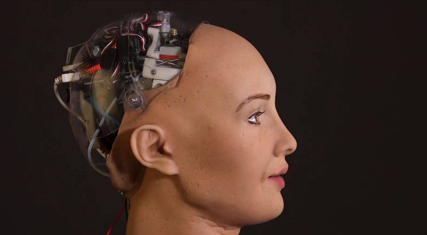 What are the Social Implications of Humanoid Robots?