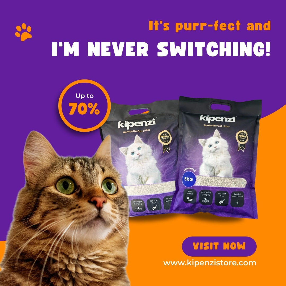 The Purrfect Solution Automatic Cat Litter Boxes and Bentonite Cat