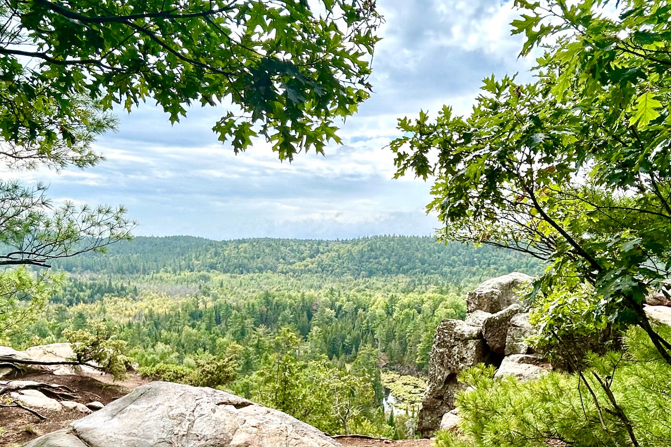 Say it louder for the people in the back Max!!! I’ve been having a