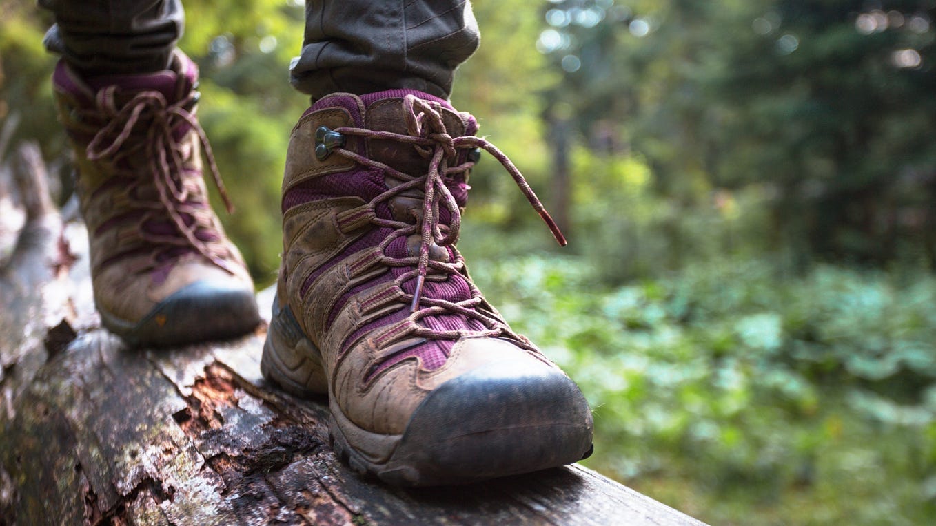 15 Best Dogs for Running and Hiking in 2024 by Sanvi Evan Medium