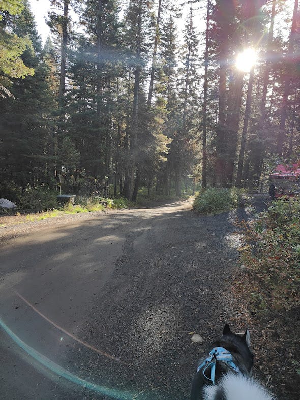 This one has my inner critic considering the difference between a nag