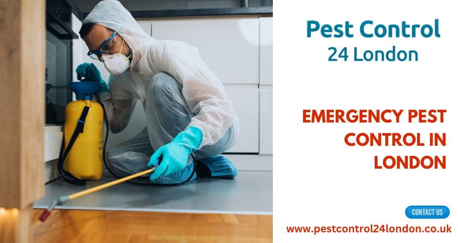 Comprehensive Pest Control in London by pestcontrol24london Medium