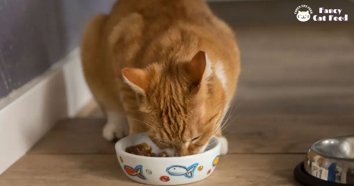 Why Is My Cats Pee Foamy?. Foamy cat pee may indicate issues like… by