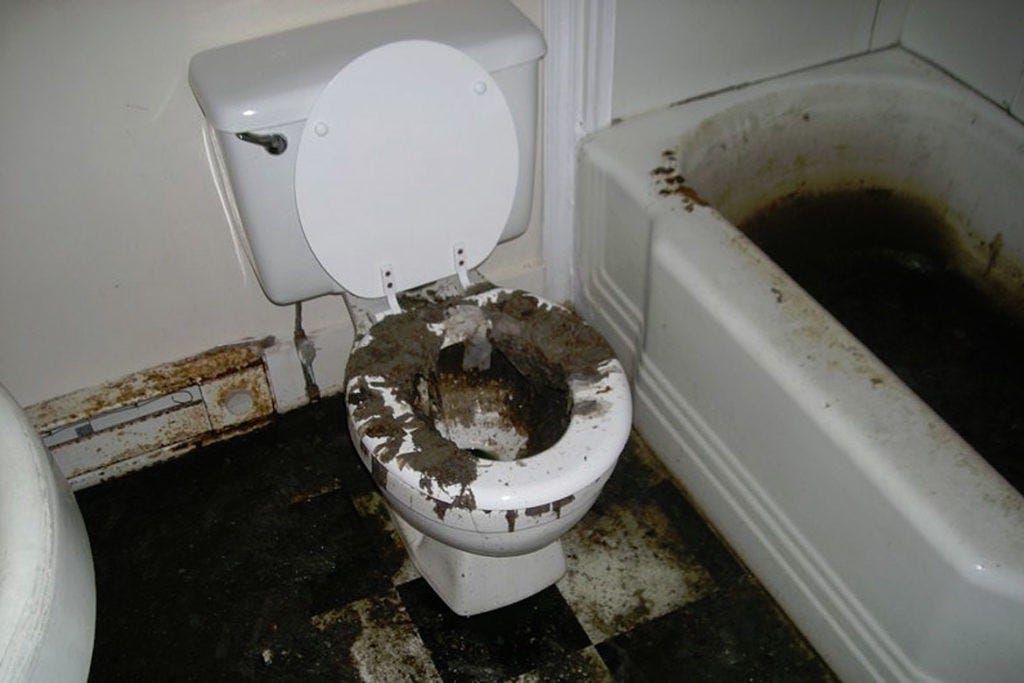 Watery Diarrhea In Toilet