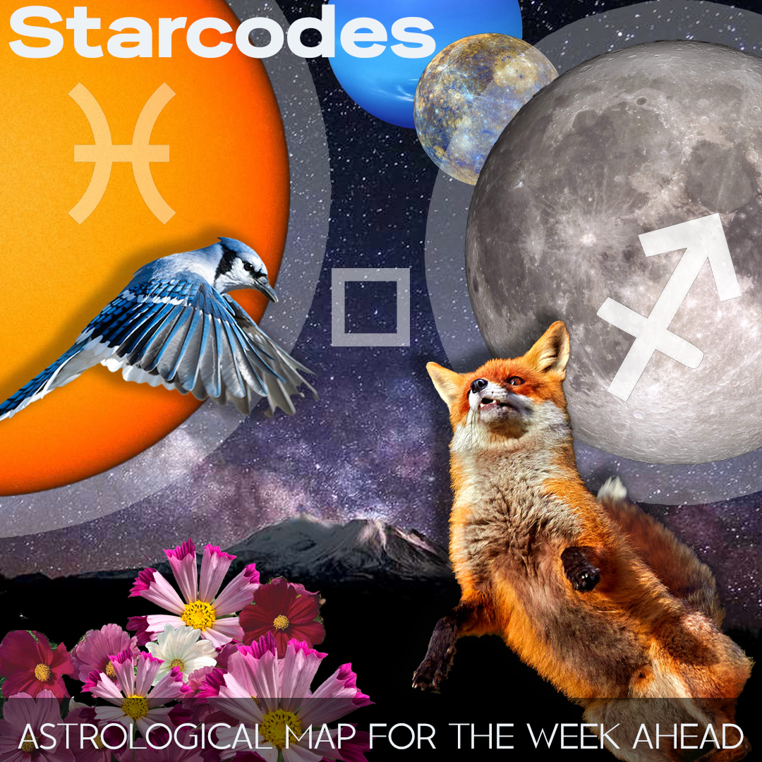 Starcodes January 26, 2024. Make it so. Mental Mercury conjuncts… by