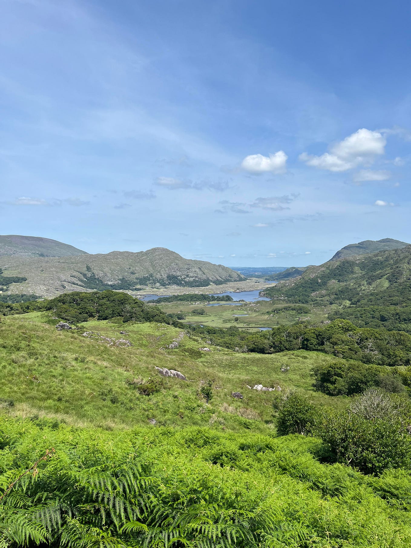 Blog Post 3Write a letter. Dear High School counselor, by Alyssa