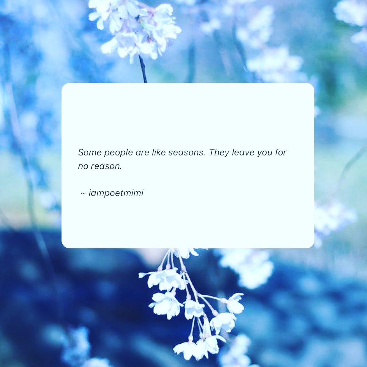 the-sarcasm-miracle-medium