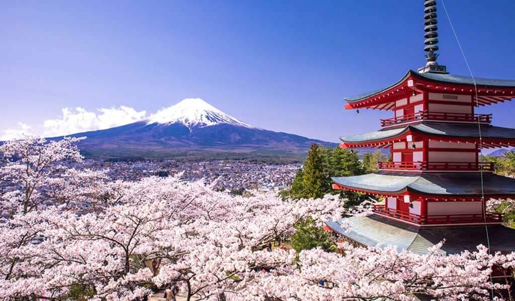 Japan’s influences to the world! More than Kaizen and Kimono.