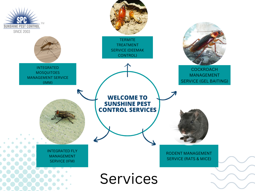 Pest control Mohali Sunshinepestcontrol Medium