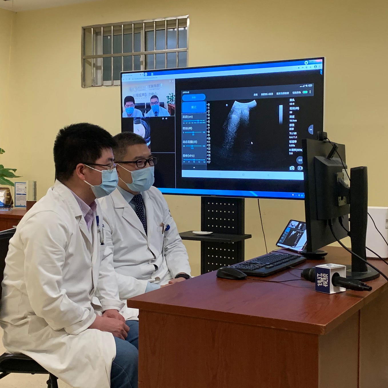 Linear Probe. The frequency of the linear array probe… by Stork Medium