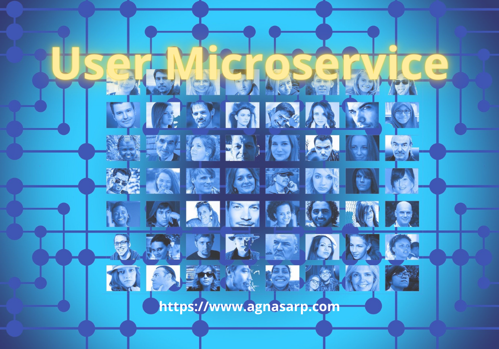 Complete microservices architecture with real examples — Step 2 — User microservice