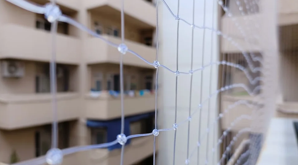 5 Essential Features of Choosing Bird Netting Services For Your