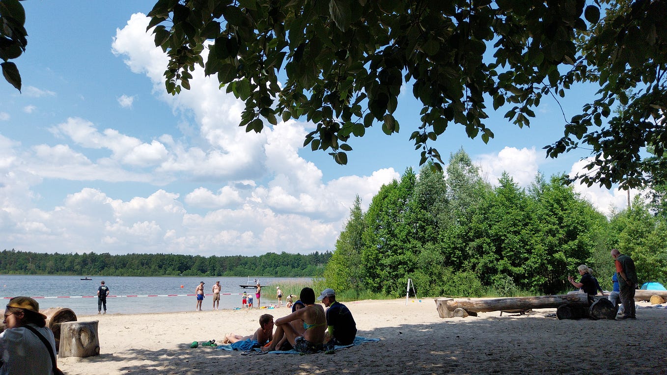 Could Your Home Be Missing These Essential Items? Transform Your Space