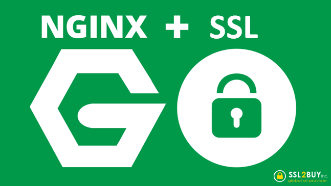 Provisioning a Self-Signed Certificate (SSL) for Nginx in a Docker Environment