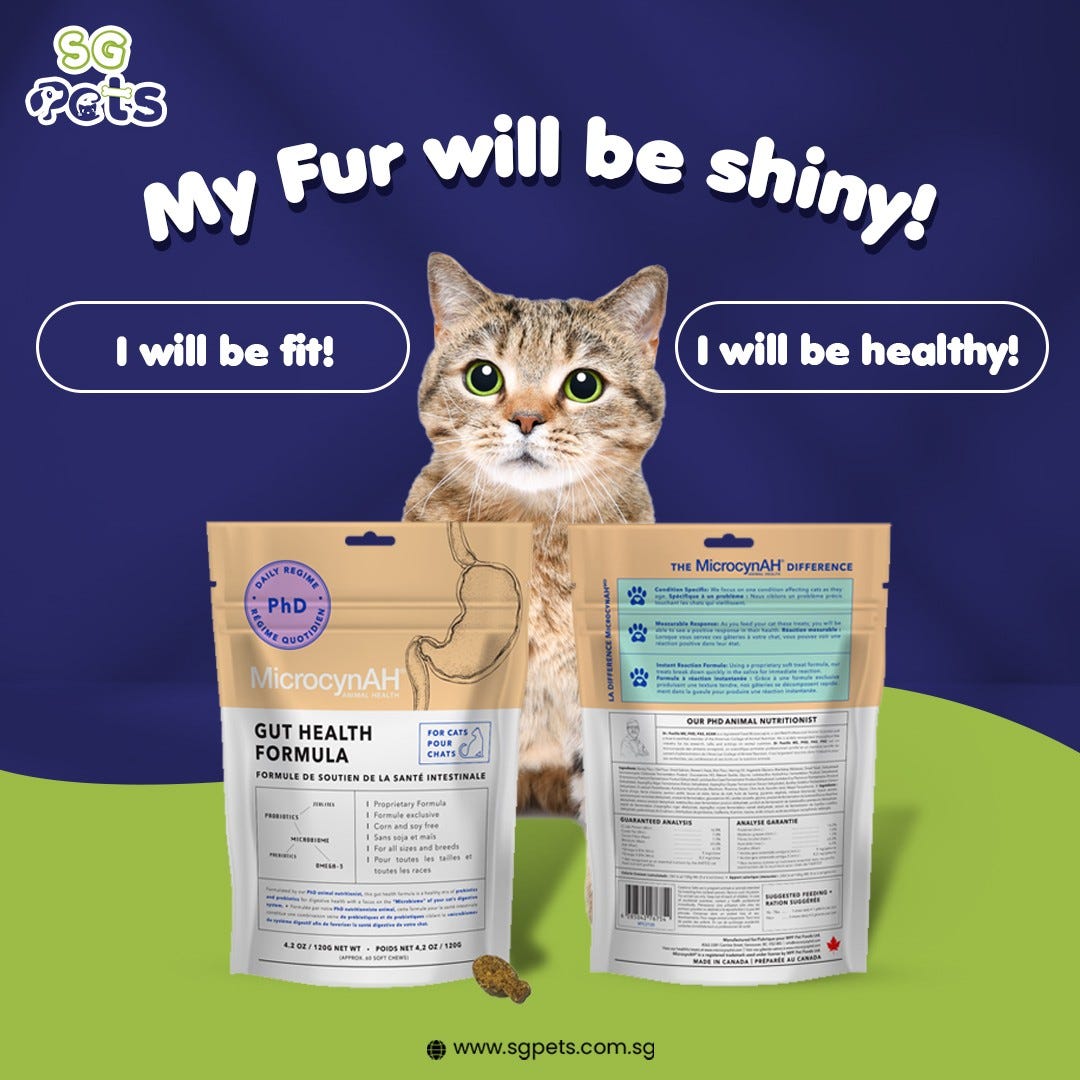 SG Pets’ Medicated Dog Shampoo Completes The Bathing Regime of Your Pet