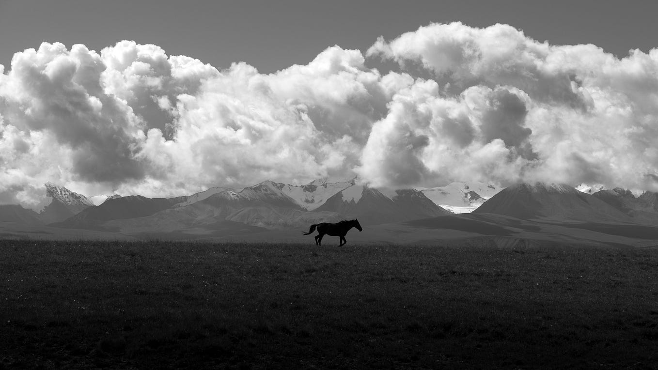 A lone horse against a backdrop of mountains and cloud.