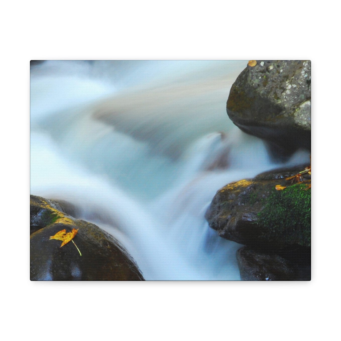 Nature Wall Art and Decor, Wall Decor, Home Decor Wall Art Paularino