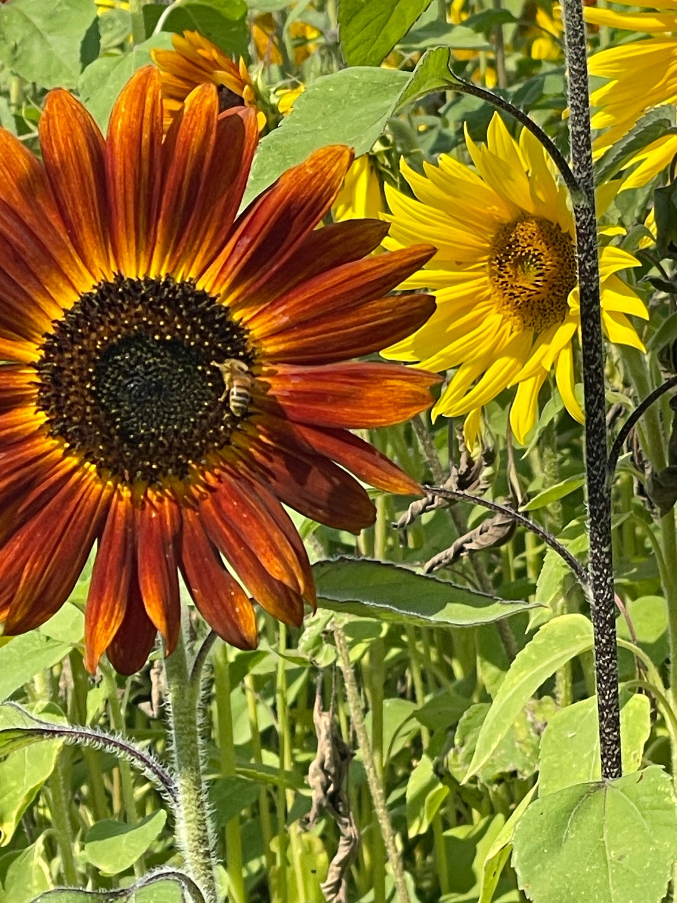 Great Contribution And Focus On Self Esteem Issues Jennydwyer Medium great-contribution-and-focus-on-self-esteem-issues-jennydwyer-medium