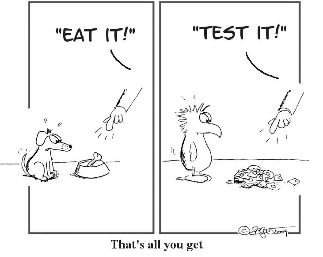 Difference between system testing and end to end testing by puja