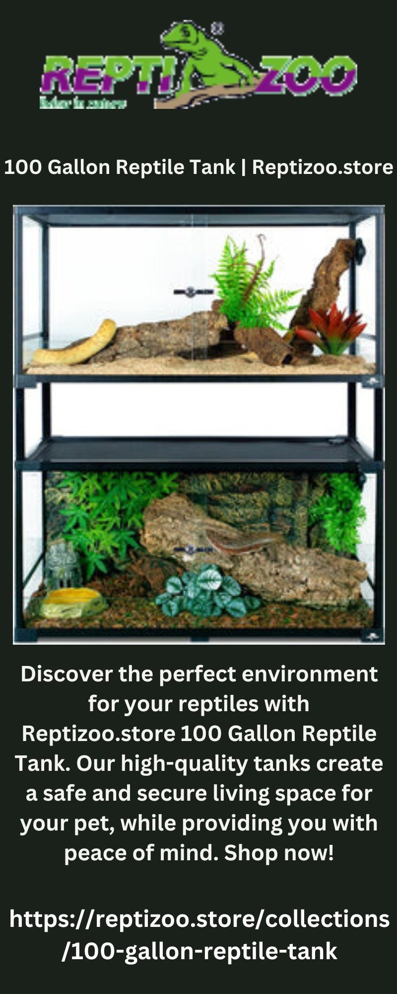 Reptile Light Fixture Reptizoo.store Reptizoo Medium