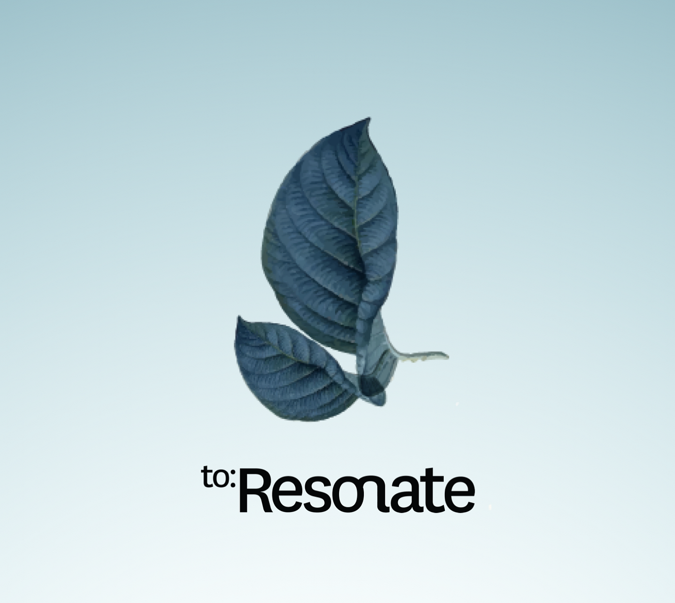 Montserrat: A UI Case Study For A Typographical Specimen | by jocelyn ...