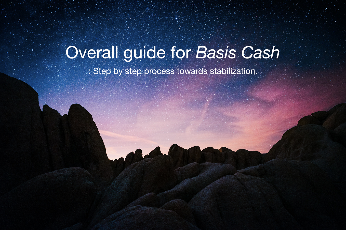 Overall guide for Basis Cash
