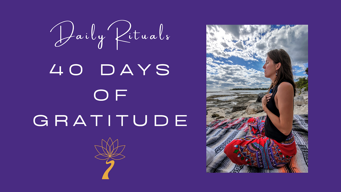 DAY FOUR: 40 Days of Gratitude (and beyond)