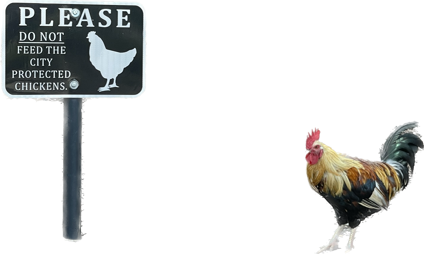 Thank you, Oganga. Delivery was the one thing that I was most concerned